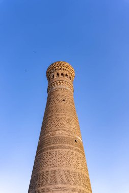 Arka planda mavi gökyüzü olan uzun bir kule. Kule tuğladan yapılmış ve benzersiz bir tasarımı var.