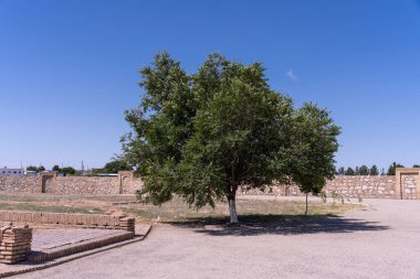 Üzerinde mavi bir gökyüzü olan bir tarlada bir ağaç duruyor. Ağaç taştan bir duvarla çevrili ve arka planda bir tuğla bina var. Huzurlu ve huzurlu bir sahne.