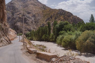 Yanı başında nehir akan bir yol. Yol dar ve ağaçlar yeşil.