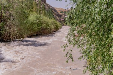 Arkasında bir sürü su ve ağaç olan bir nehir.