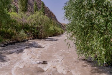 Arkasında bir sürü su ve ağaç olan bir nehir.