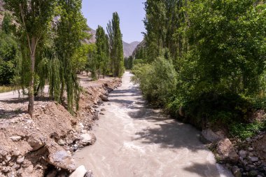 Kayalık bir kıyısı ve her iki tarafında ağaçlar olan bir nehir. Su berrak ve sakin. Ağaçlar yeşil ve gür, ve gökyüzü mavi.
