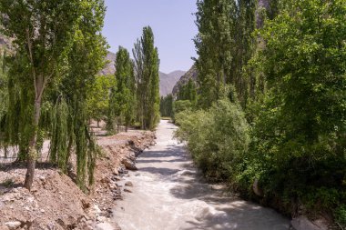 İki tarafında da ağaçlar olan bir nehir. Su temiz ve ağaçlar yeşil. Huzurlu ve huzurlu bir sahne.