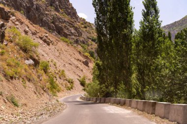 Arka planda yamaç olan bir yol. Yol kenarında ağaçlar büyüyor.