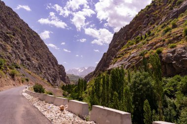 Dağları gören bir dağ yolu. Yol ağaçlarla kaplı ve gökyüzü açık.