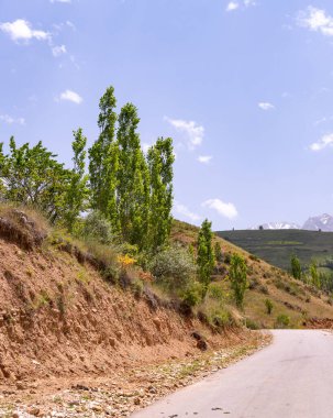 Üzerinde ağaçlar olan bir yol. Yol bir tepede ve gökyüzü mavi.