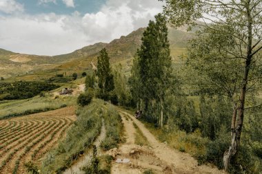 Toprak bir yol yemyeşil bir ormanın içinden geçiyor. Yol ağaçlarla çevrili ve gökyüzü açık.