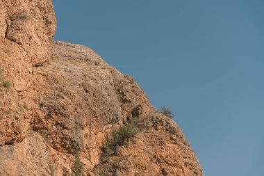 Üzerinde ağaç olan kayalık bir uçurum. Gökyüzü mavi ve berrak