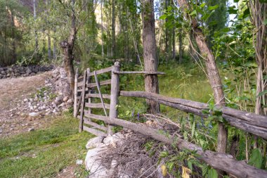 Ormanın ortasında kapısı olan ahşap bir çit. Kapı açık ve çitler eski ve yıpranmış. Sahne huzurlu ve huzurlu, kapı yemyeşil bir ormana açılıyor.