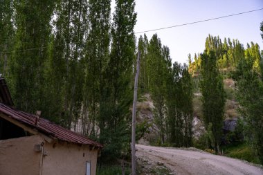 Küçük bir ev, bir ormanın içinde toprak bir yola çıkıyor. Ev ağaçlarla çevrili ve yol asfaltsız.