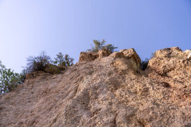 Üzerinde ağaç büyüyen kayalık bir yamaç. Gökyüzü açık ve mavi. Huzur ve doğal güzellik kavramı
