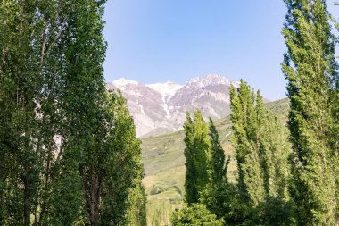 Ağaçlardan oluşan bir ormanın arkasında bir dağ sırası görülebilir. Gökyüzü açık ve mavidir, ve güneş parlıyor. Huzurlu ve huzurlu bir sahne.