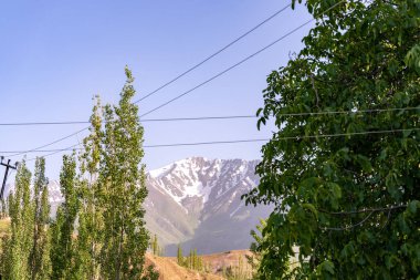 Bir ağaç hattının arkasındaki uzaklıktan bir dağ sırası görülebilir. Gökyüzü açık ve mavi, ağaçlar gür ve yeşil
