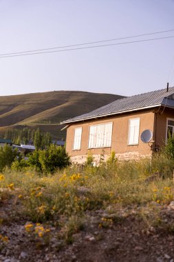 Çatıda uydu anteni olan küçük bir ev. Ev sarı çiçeklerle çevrili.