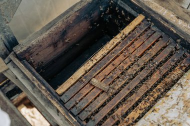 Bir sürü odunu ve arısı olan tahta bir kutu.