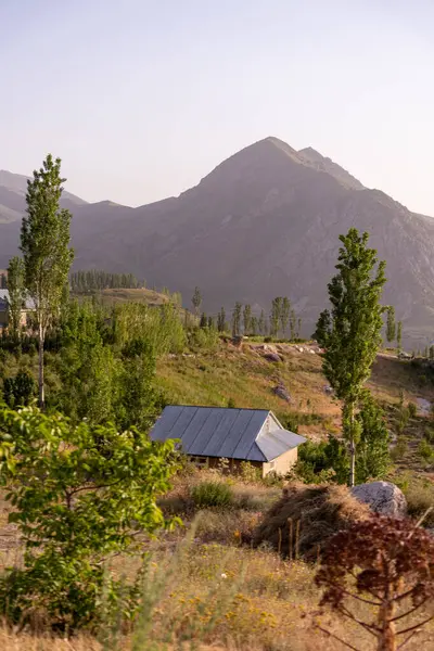 Arka planda ağaçlar olan bir tarlada küçük bir ev oturuyor. Ev bir sürü yeşillikle çevrili. Huzurlu ve huzurlu bir atmosfer sağlıyor.