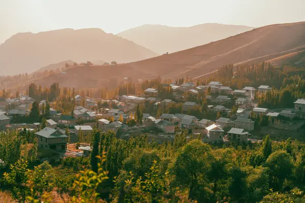 Arka planda evleri ve ağaçları olan küçük bir kasaba.