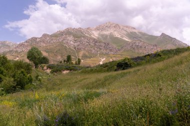 İkisinin arasında yemyeşil bir tarla olan bir dağ sırası. Gökyüzü bulutlu ve güneş parlıyor