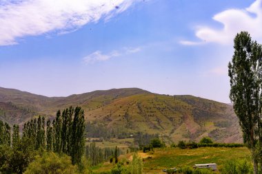 Açık mavi gökyüzü ve birkaç ağacı olan güzel bir dağ manzarası. Ağaçlar yeşil ve yamaçlara yayılmış.