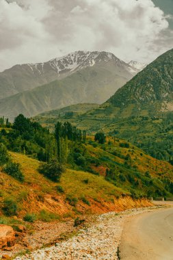 İçinden yol geçen bir dağ sırası. Yol ağaçlarla kaplı ve dağlar karla kaplı. Huzurlu ve huzurlu bir sahne.