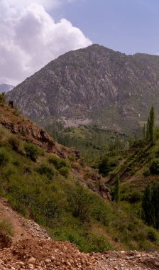 Arka planda bulutlu bir gökyüzü olan bir dağ sırası. Dağlar yemyeşil bir bitkiyle örtülmüş, ağaçlar da ön planda.