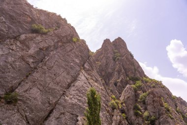 Üzerinde ağaç büyüyen bir dağ. Ağaç küçük ve yeşildir. Dağ kayalıktır ve üzerinde bir sürü ağaç yetişir. Gökyüzü mavi ve bazı bulutlar var.