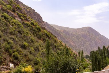 Bereketli yeşil yamaçlı bir dağ sırası. Gökyüzü açık ve güneş parlıyor.