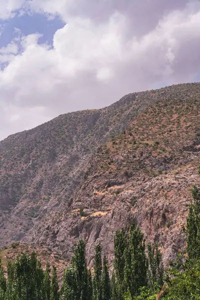 Arka planda bulutlu bir gökyüzü olan bir dağ sırası. Ağaçlar yeşil ve gökyüzü mavi.