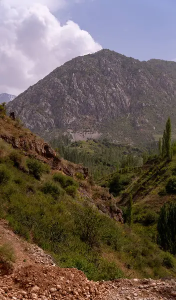 Arka planda bulutlu bir gökyüzü olan bir dağ sırası. Dağlar yemyeşil bir bitkiyle örtülmüş, ağaçlar da ön planda.