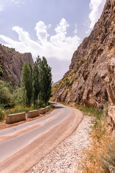 Yanı başında ağaç olan bir yol. Yol toprak ve kayalık. Gökyüzü bulutlu.