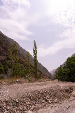 Önünde yalnız bir ağaç olan bir dağ sırası. Gökyüzü bulutlu ve güneş parlıyor