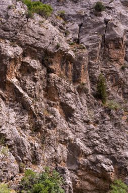 Üzerinde birkaç ağaç büyüyen kayalık bir uçurum. Görüntüde engebeli, doğal bir his var. Kayalar ve ağaçlar yalnızlık ve yalnızlık hissi yaratıyor.