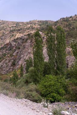 Kayalık bir yolu olan bir dağ sırası. Yol çakıl ve kayalarla kaplı.