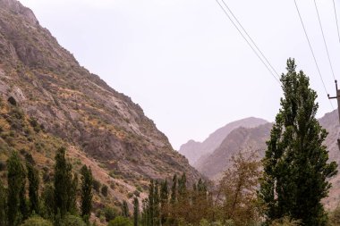 Önünde birkaç ağaç olan bir dağ sırası. Ağaçlar yeşil ve gökyüzü bulutlu
