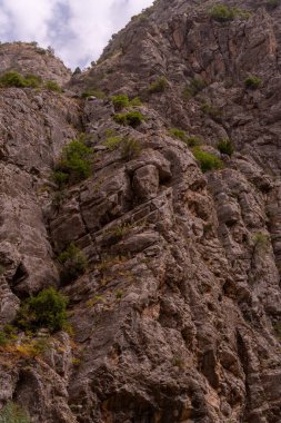 Üzerinde bir sürü ağaç olan kayalık bir dağ.