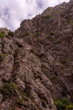 Üzerinde birkaç ağaç büyüyen kayalık bir dağ. Dağ çok yüksek ve ağaçlar seyrektir. Gökyüzü bulutlu ve dağ kayalarla kaplı.