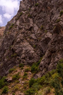 Kayalık bir uçurum ve yeşil bitki örtüsü olan bir dağ. Dağ kayalarla kaplı ve bitki örtüsü seyrek. Gökyüzü açık ve güneş parlıyor.