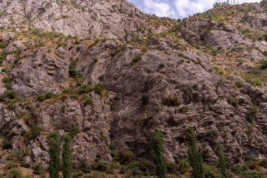 Üzerinde birkaç ağaç büyüyen kayalık bir dağ. Ağaçlar küçük ve seyrek ve dağ çok kayalık ve dik. Sahne, kabalık ve vahşilikten ibarettir.