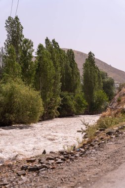 Kayalık bir kıyısı ve her iki tarafında ağaçlar olan bir nehir. Su hızlı akıyor ve ağaçlar yeşil.