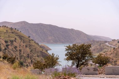 Önünde bir su kütlesi olan bir dağ sırası. Su sakin ve berrak. Dağlar ağaçlarla kaplı ve gökyüzü bulutlu.