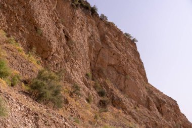 Üzerinde birkaç ağaç büyüyen kayalık bir yamaç. Gökyüzü açık ve güneş parlıyor.