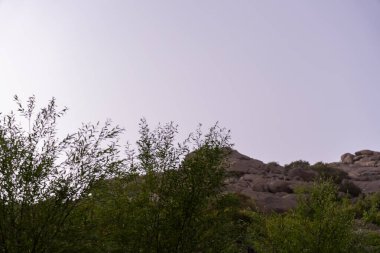 Açık mavi gökyüzü ve birkaç ağacı olan bir dağ sırası.