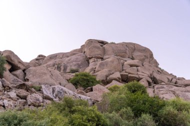 Birkaç ağacı ve açık mavi gökyüzü olan kayalık bir yamaç. Tepe kayalarla kaplı ve ağaçlar seyrek.