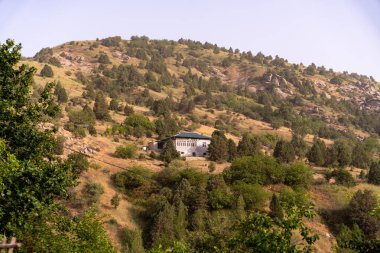Bir ev bir tepenin üzerinde bir sürü ağaç var.
