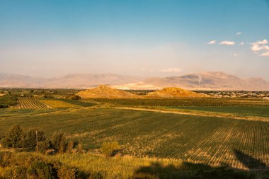 Arkasında dağ olan büyük bir tarla. Gökyüzü mavi ve güneş parlıyor.