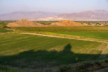 Arka planda dağ olan yeşil çimen tarlası. Gökyüzü mavi ve güneş parlıyor.