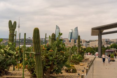 Bir grup kaktüs çöl ortamında büyüyor. Kaktüsler arka planda yüksek binalarla çevrili bir şehir manzarası ile çevrilidir. Birkaç kişi kaktüsün yanındaki kaldırımda yürüyor.