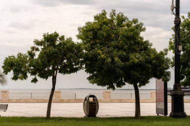 Üç ağaç ve bir çöp tenekesi olan bir park. Park okyanusa yakın bir yerde ve bir bank ve lamba direği var.