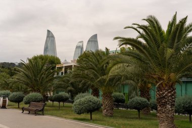 Palmiye ağaçları ve bankı olan bir park. Gökyüzü bulutlu.