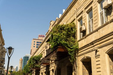 Üzerinde sarmaşık ve balkon olan bir bina. Bina eski ve bir sürü penceresi var.